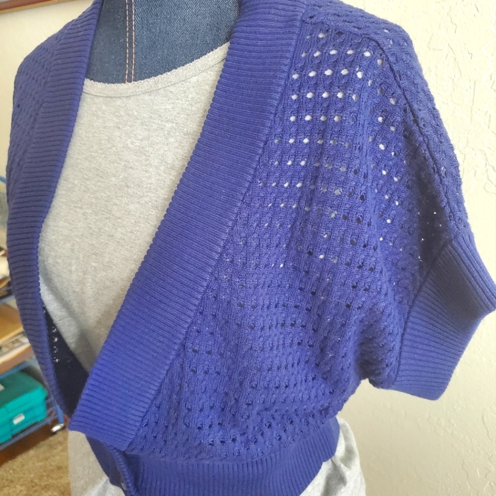 Cobalt cropped light knit